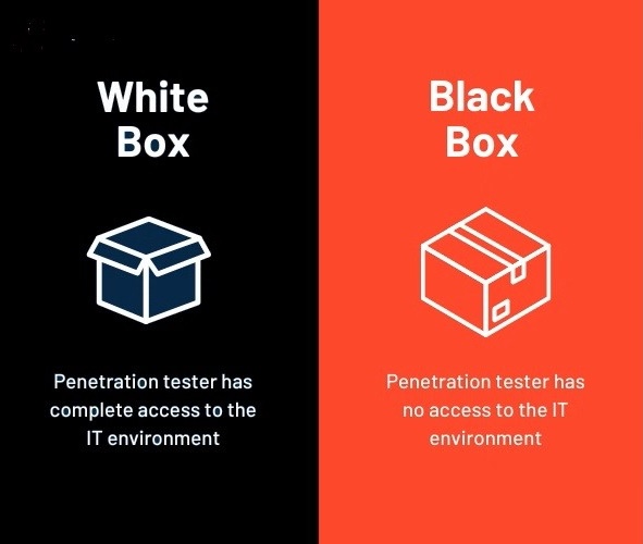 whitebox-vs-blackbox-pentesting