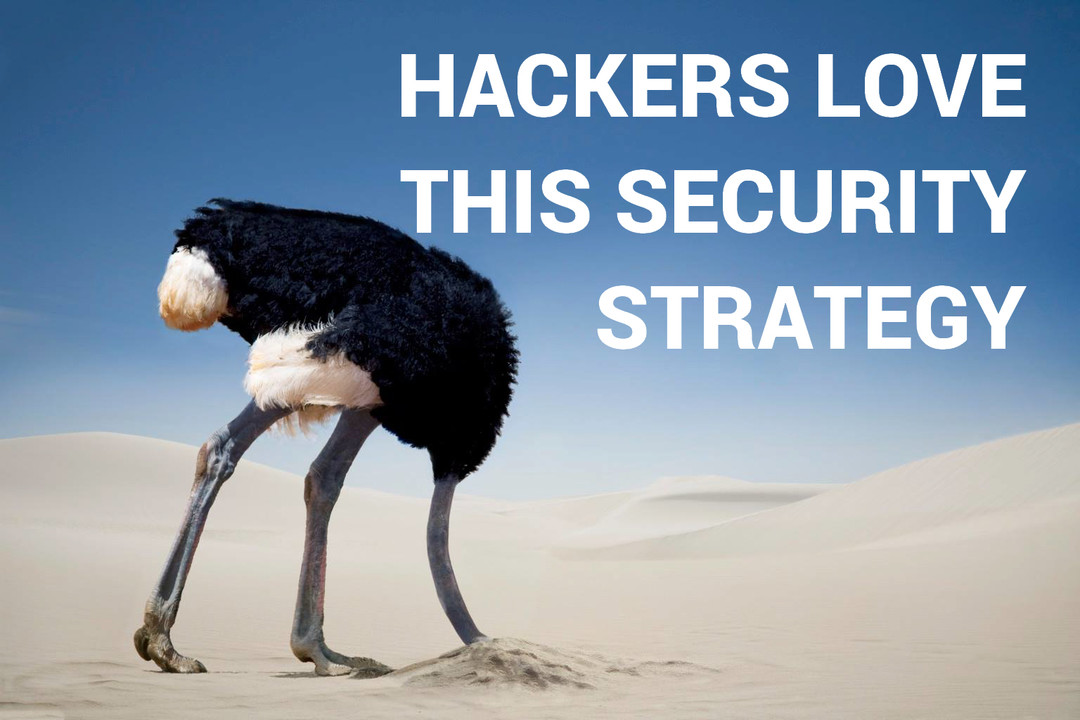 hackers-love-this-policy-ostrich